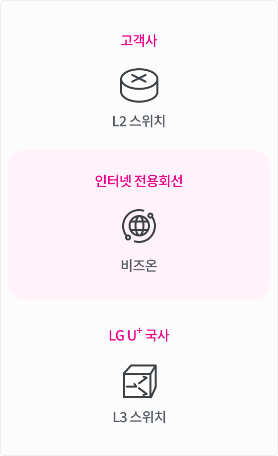 고객사 L2스위치와 유플러스 국사 L3스위치를 1:1 인터넷 전용회선인 비즈온으로 연결