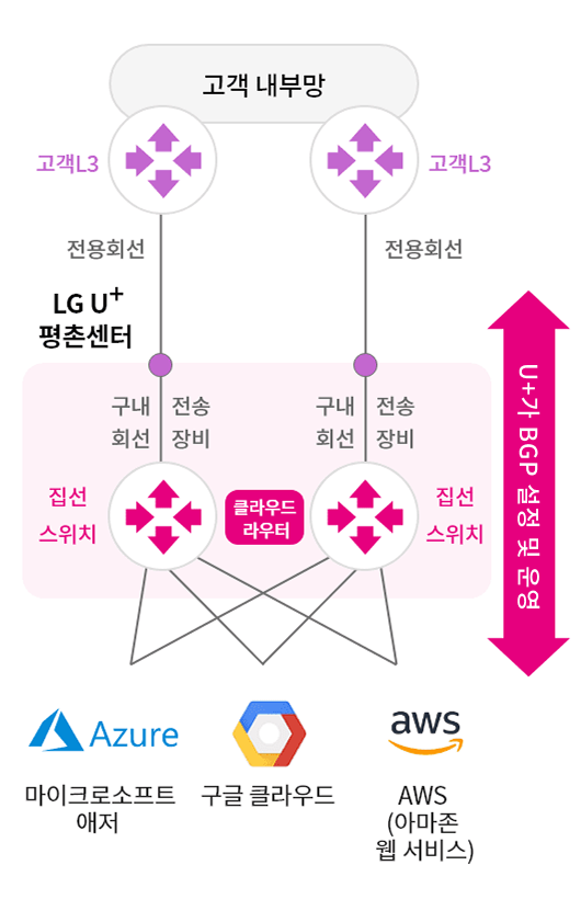 고객L3와 집선스위치(LG U+평촌센터) 사이에 전용회선과 구내회선을 구성하고 집선스위치에 고객용 클라우드 라우터를 가상으로 생성하여(가상 L3) CSP(AWS-아마존 웹 서비스, 구글 클라우드, 마이크로소프트 애저) Connetrion을 제공, 이 때 BGP 설정과 운영은 U+에서 대행