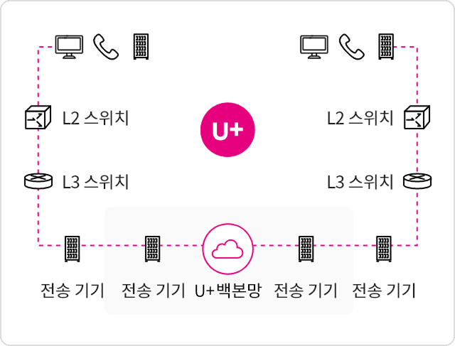 국가, 공공기관 등이 설치를 요청한 2개 국내 지점에 각각 전송장비를 설치하고, 각 전송장비를 기간망을 통해 연결하여 양 지점간 데이터를 전송하는 전용회선 서비스입니다.