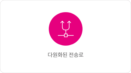 다원화된 전송로