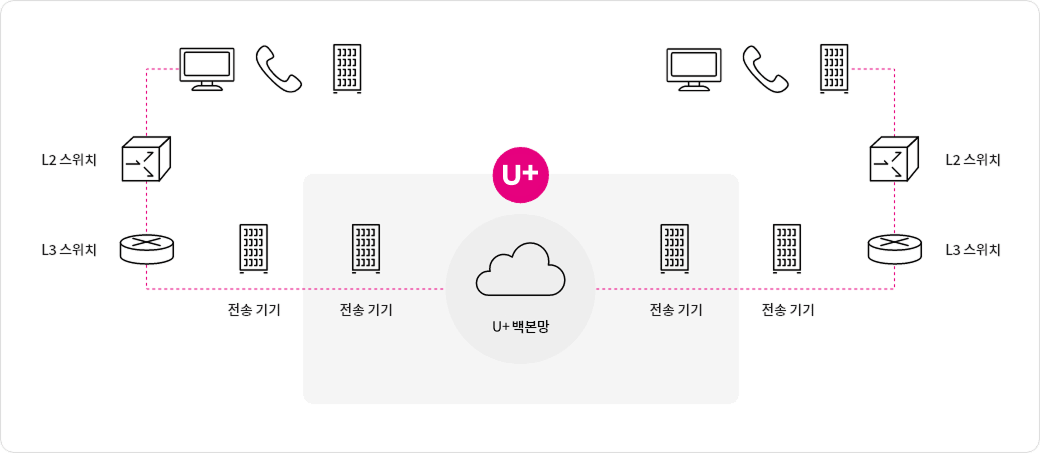 국가, 공공기관 등이 설치를 요청한 2개 국내 지점에 각각 전송장비를 설치하고, 각 전송장비를 기간망을 통해 연결하여 양 지점간 데이터를 전송하는 전용회선 서비스입니다.
