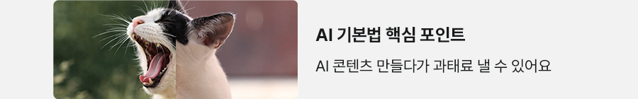 AI 기본법 핵심 포인트 AI콘텐츠 만들다가 과태료 낼 수 있어요
