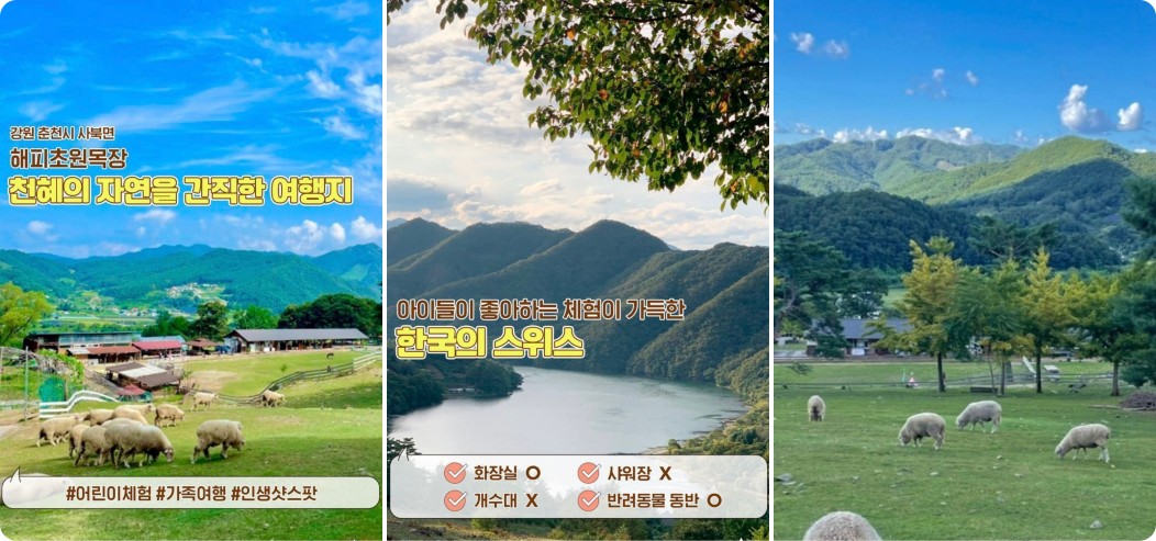 키즈 캠핑장 추천,
            강원 춘천시 사북면 해피초원 목장
            천혜의 자연을 간직한 여행지
            #어린이체험 #가족여행 #인생샷스팟
            아이들이 좋아하는 체험이 가득한 한국의 스위스
            화장실 o, 샤워장x, 개수대x, 반려동물 동반 o